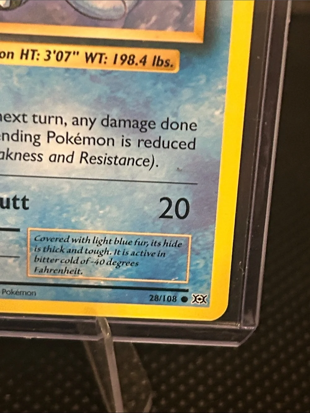 Pokémon Seel 28/108 Non-Holo from XY‎ Evolutions Set Vintage (2016) M/NM